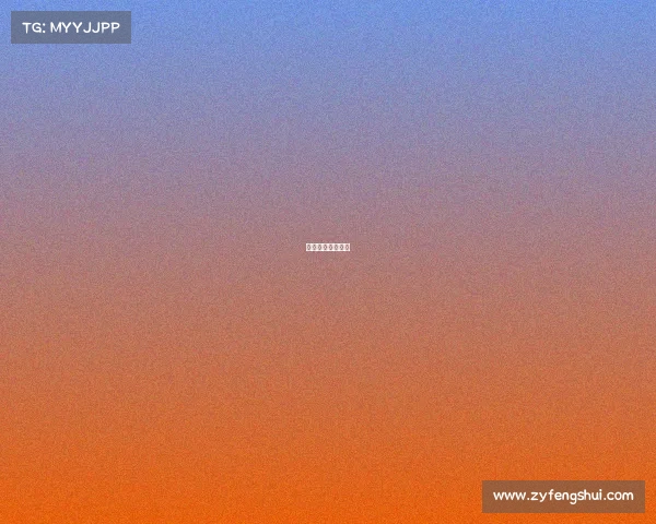 芝加哥公牛队视频